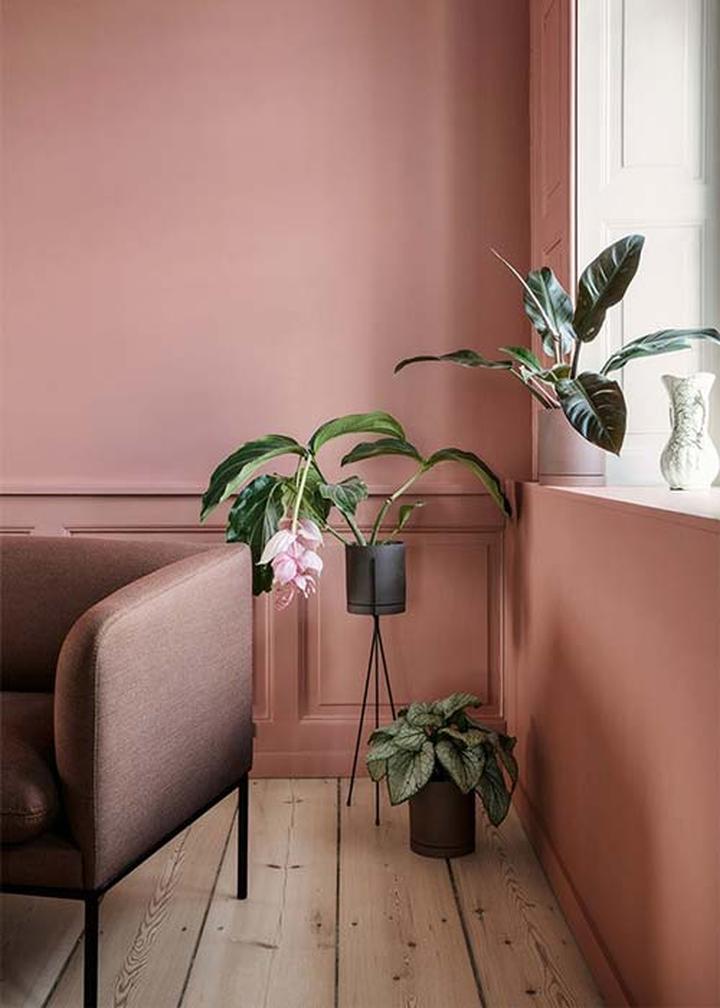 Różowe ściany w pokoju