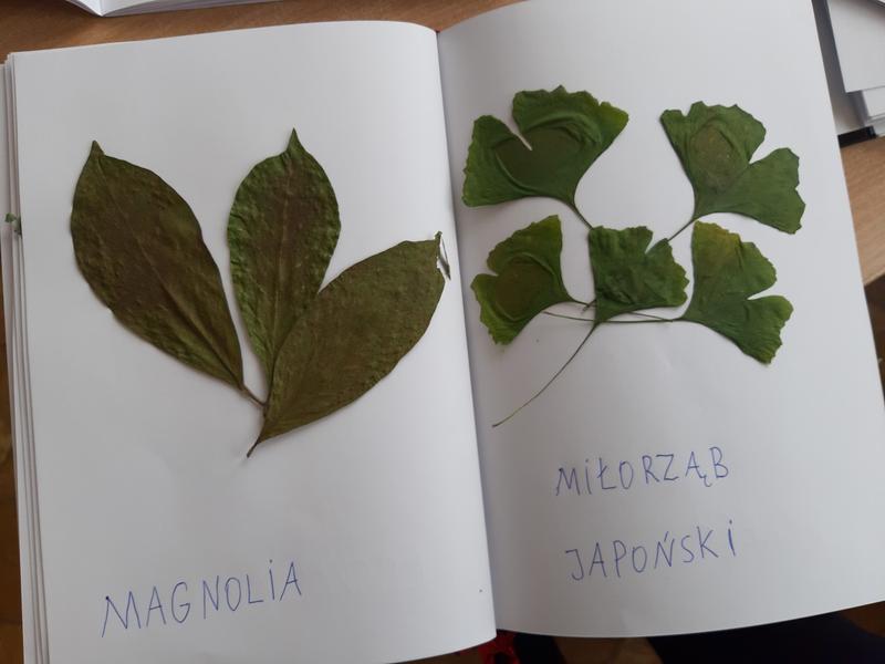 Wybór materiałów do okładki