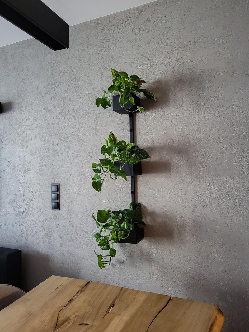 Dekoracja kwietnika rośliny i dodatki