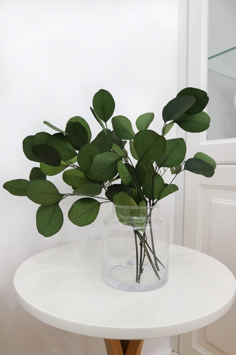 Właściwości zdrowotne eukaliptusa