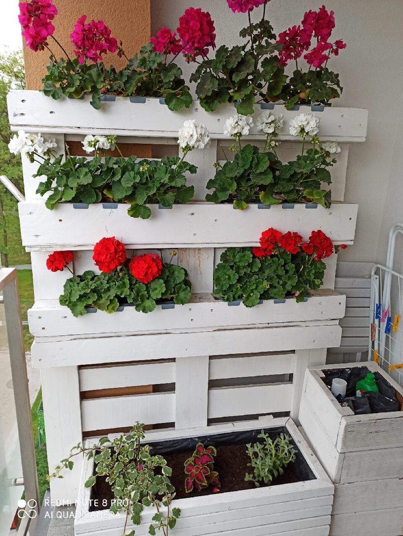 Recykling palet w ogrodzie