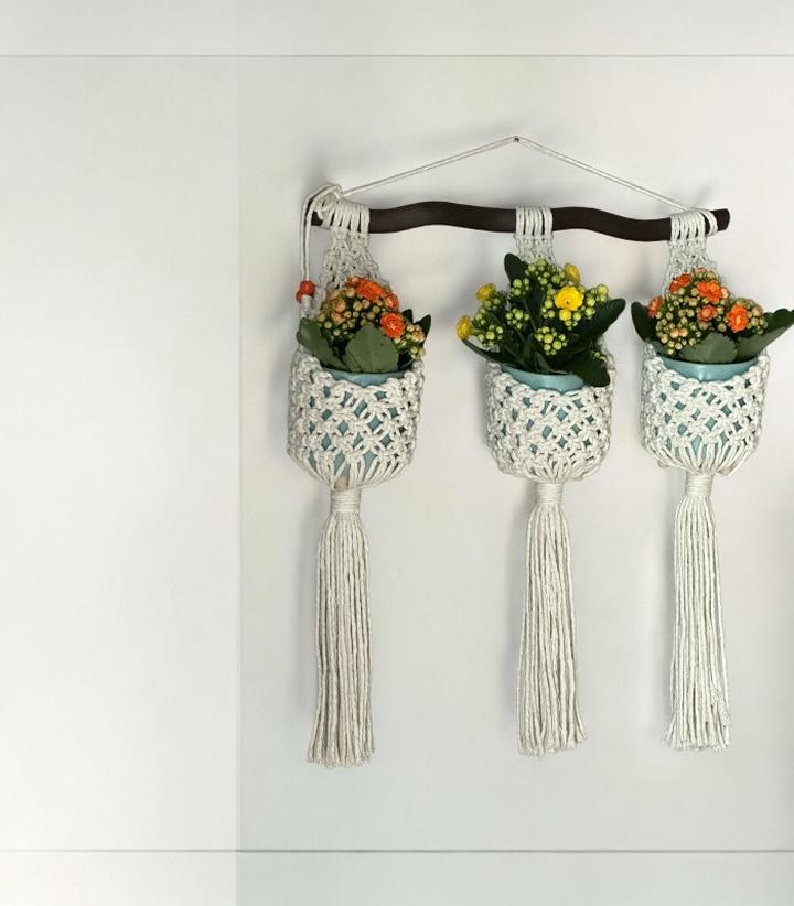 Rośliny do kwietnika z makramy