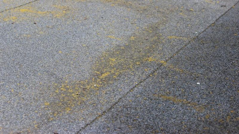 Koszty smarowania dachu