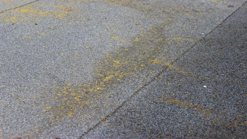 Metody ochrony dachu